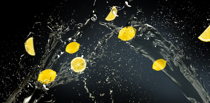 Fizzit Pro Sparkling Water Maker